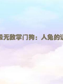 超级无敌掌门狗：人兔的诅咒