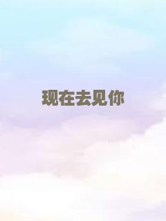 现在去见你
