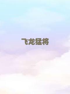 飞龙猛将
