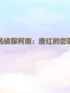 灵魂拍档