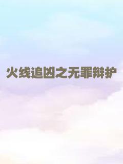 火线追凶之无罪辩护