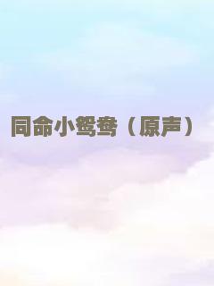 虞美人盛开的山坡