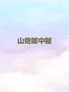 山炮贼中贼