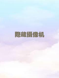 美国叛徒：轴心莎莉的审判