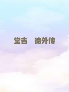 堂吉诃德外传