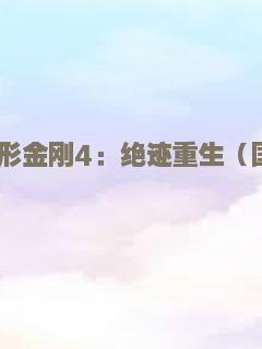 变形金刚4：绝迹重生（国语