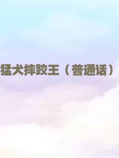 呆呆计划