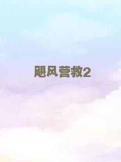 飓风营救2