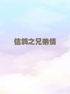 信鸽之兄弟情