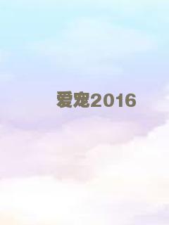 爱宠2016