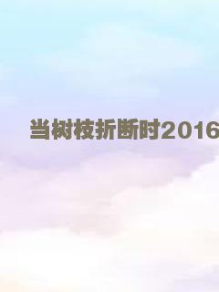 当树枝折断时2016