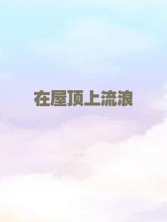 在屋顶上流浪