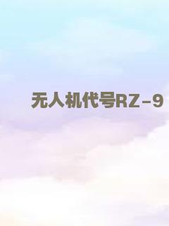 无人机代号RZ-9