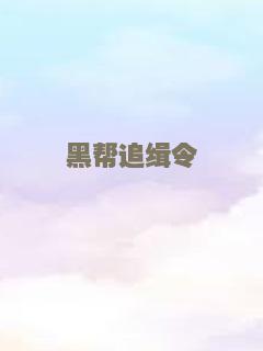 黑帮追缉令