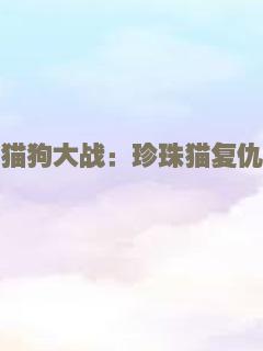 传奇的诞生（普通话）