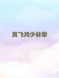 黄飞鸿少林拳