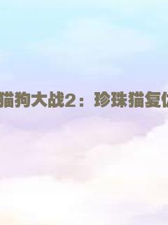 殉道者杀手