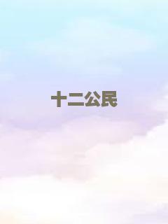 十二公民