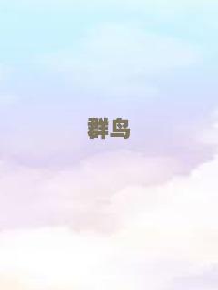群鸟