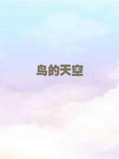 鸟的天空