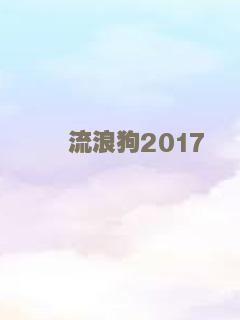 流浪狗2017