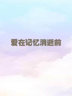 爱在记忆消逝前