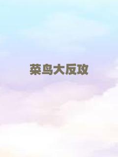 菜鸟大反攻