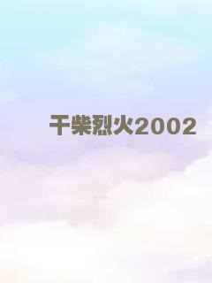 干柴烈火2002