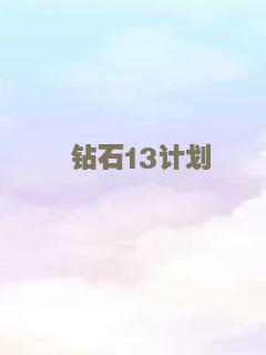 钻石13计划