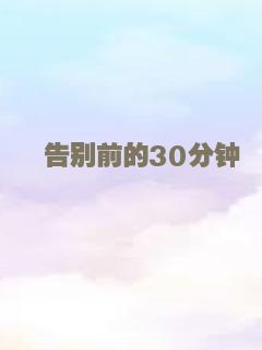 告别前的30分钟