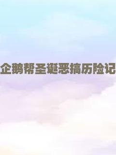 雷米奇遇记