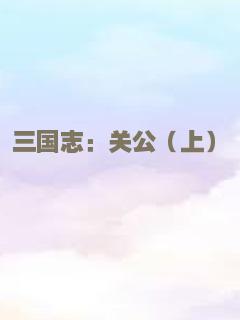 三国志：关公（上）