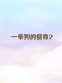 西部计划
