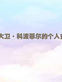 大卫·科波菲尔的个人史