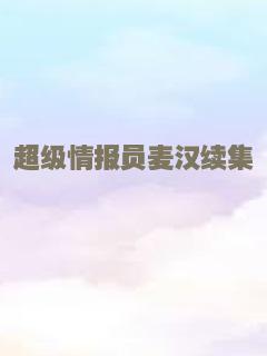 超级情报员麦汉续集