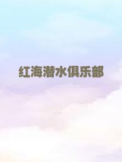 对局