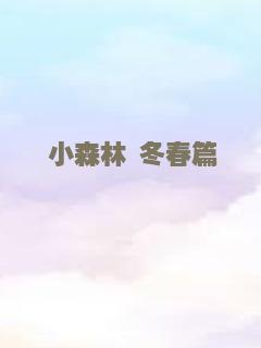 第九个女婿