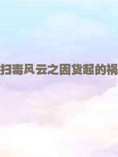 扫毒风云之因货起的祸