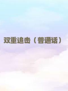 双重追击（普通话）