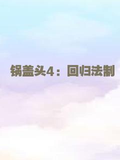 锅盖头4：回归法制