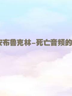 晚安布鲁克林-死亡音频的故事