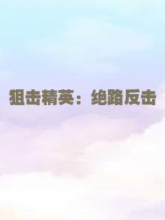 狙击精英：绝路反击
