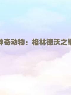 迷踪：第九鹰团