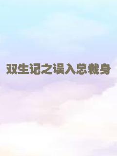 双生记之误入总裁身