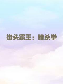 街头霸王：暗杀拳