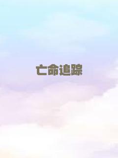亡命追踪