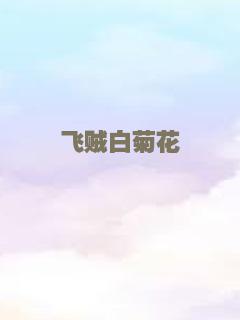 飞贼白菊花