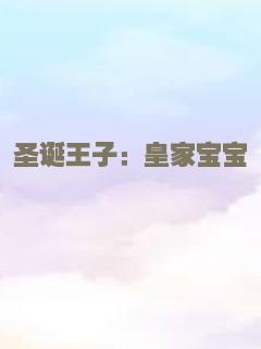 圣诞王子：皇家宝宝